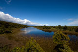 Ship Creek, Haast, New Zealand photo calendar may 2009