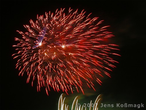 Fireworks - Pyronale 2007 - 12