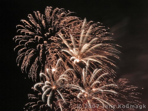 Fireworks - Pyronale 2007 - 08